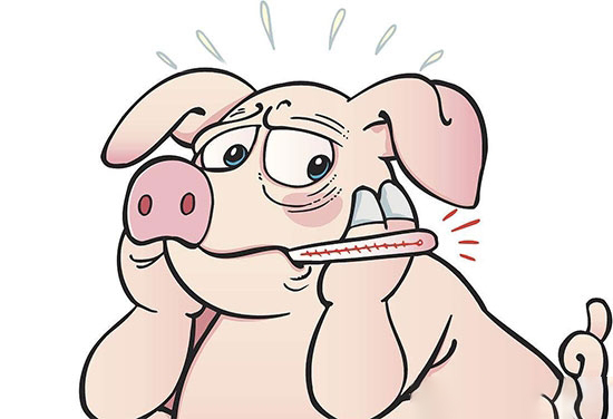 猪流行性感冒的治疗